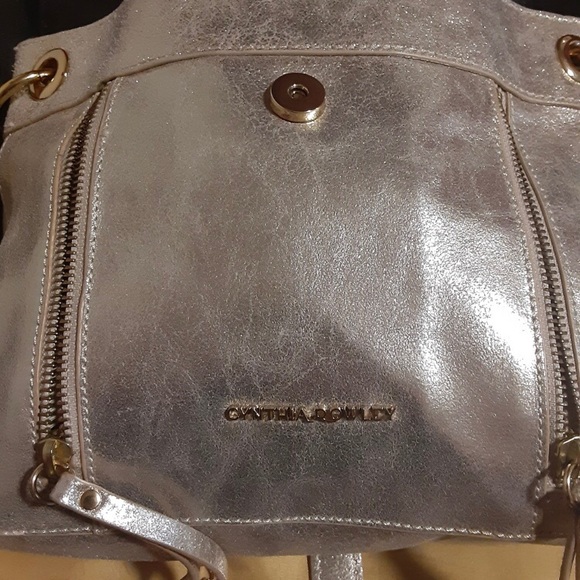 Cynthia Rowley Silver Bag - Picture 6 of 7